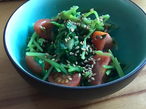 豆苗とミニトマト胡麻酢味噌和え